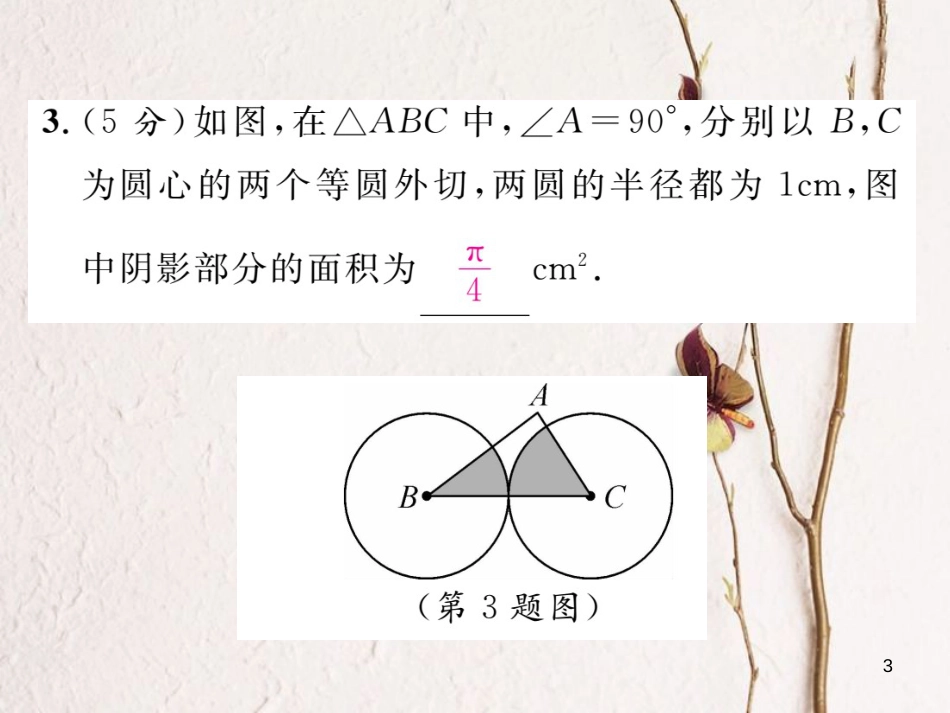 九年级数学下册 双休作业（8）作业课件 （新版）湘教版_第3页