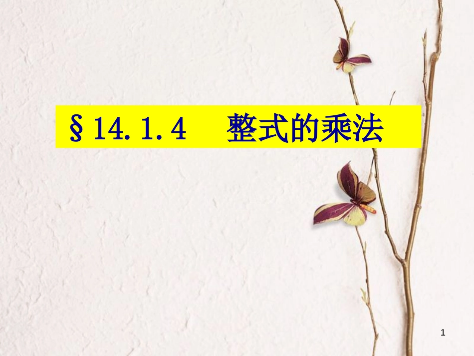 陕西省安康市石泉县池河镇八年级数学上册 14.1 整式的乘法 14.1.4 整式的乘法（3）课件 （新版）新人教版_第1页