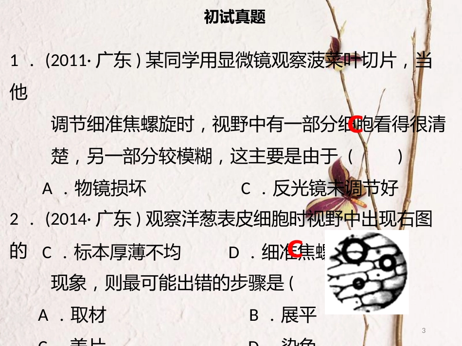 广东省中考生物 模块二 生物体的结构层次 第六课时 制作临时装片课件_第3页