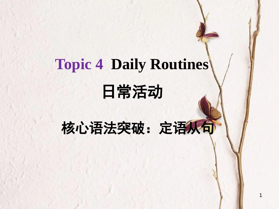 河北省中考英语总复习 Topic 4 Daily Routines 3 定语从句课件_第1页