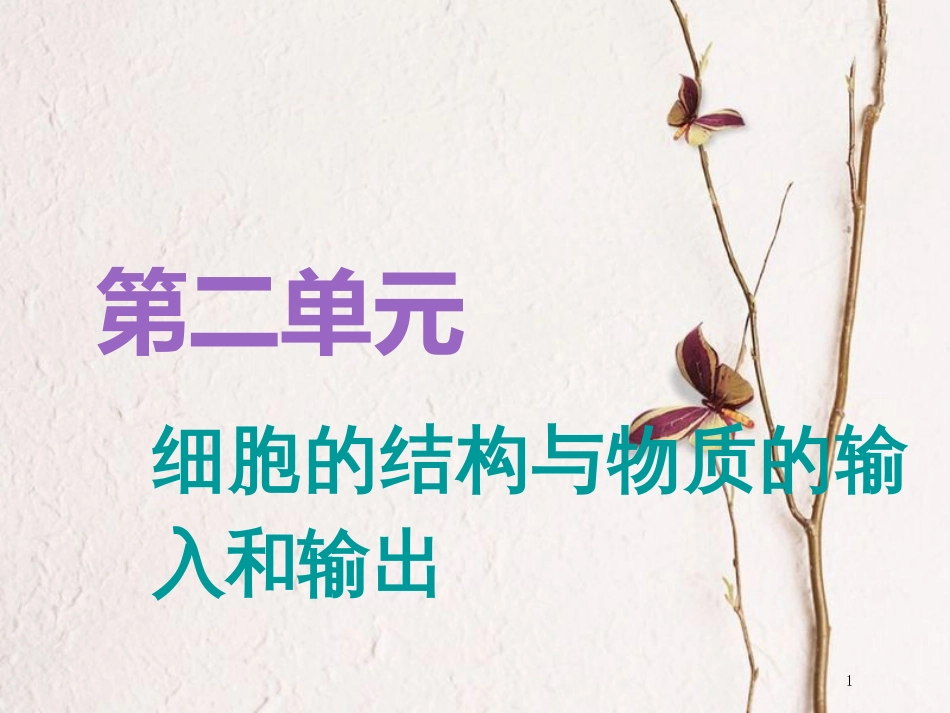 （全国通用版）2019版高考生物一轮复习 第1部分 分子与细胞 第二单元 细胞的结构与物质的输入和输出 第1讲 细胞膜与细胞核（含生物膜的流动镶嵌模型）精准备考实用课件_第1页