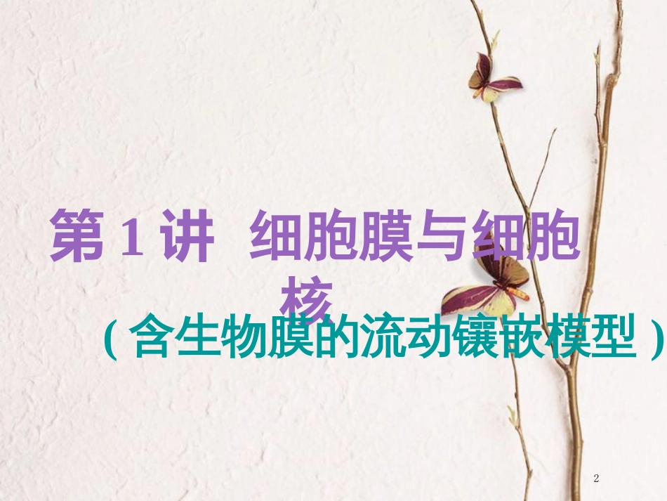 （全国通用版）2019版高考生物一轮复习 第1部分 分子与细胞 第二单元 细胞的结构与物质的输入和输出 第1讲 细胞膜与细胞核（含生物膜的流动镶嵌模型）精准备考实用课件_第2页