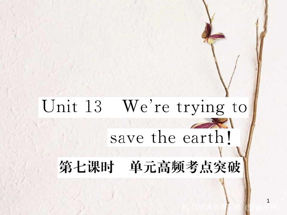 （安徽专版）九年级英语全册 Unit 13 We’re trying to save the earth（第7课时）高频考点突破习题课件 （新版）人教新目标版_第1页