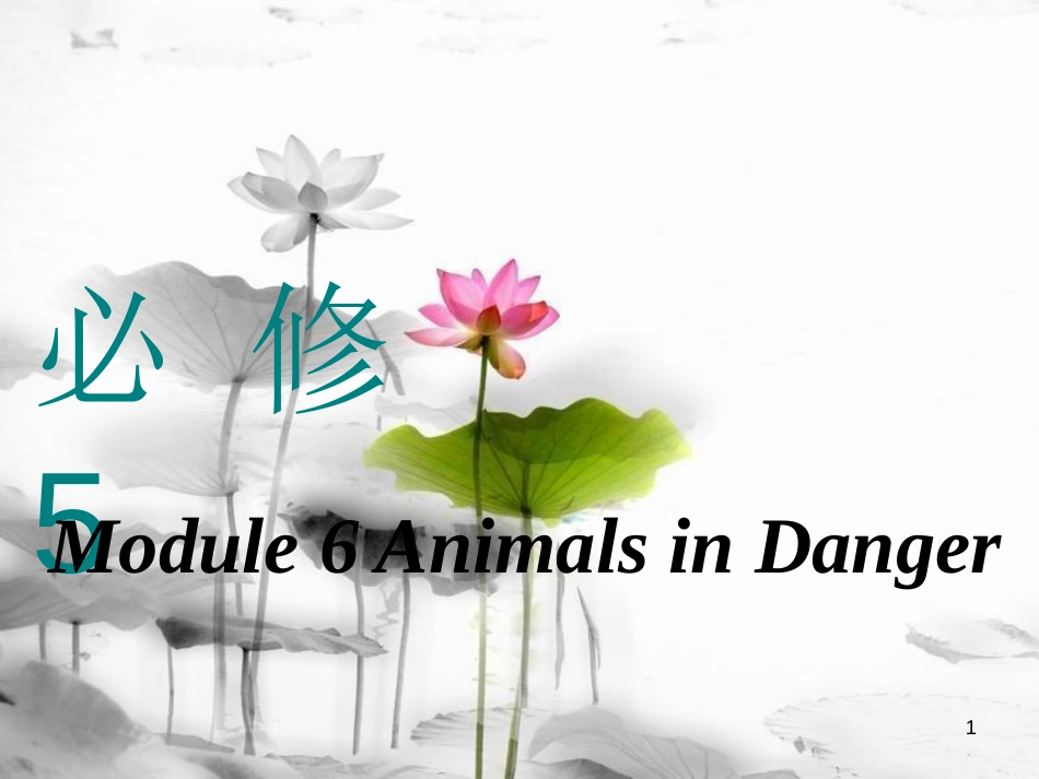 高考英语一轮复习 Module 6 Animals in Danger课件 外研版必修5_第1页