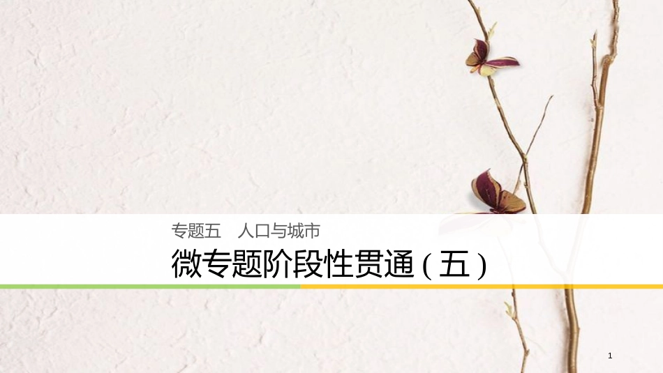 （浙江选考）版高考地理大二轮复习 专题五 人口与城市 微专题阶段性贯通课件_第1页