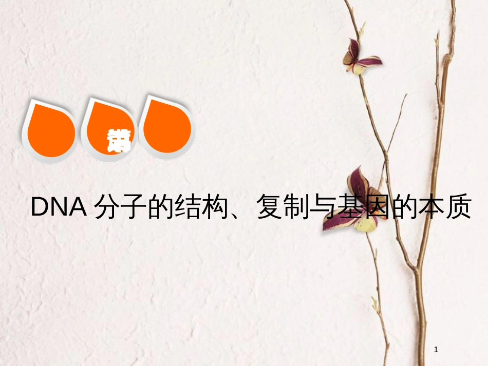 2019版高考生物一轮复习 第六单元 基因的本质与表达 第二讲 DNA分子的结构、复制与基因的本质精选课件_第1页