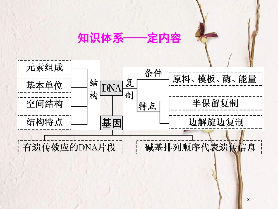 2019版高考生物一轮复习 第六单元 基因的本质与表达 第二讲 DNA分子的结构、复制与基因的本质精选课件_第3页