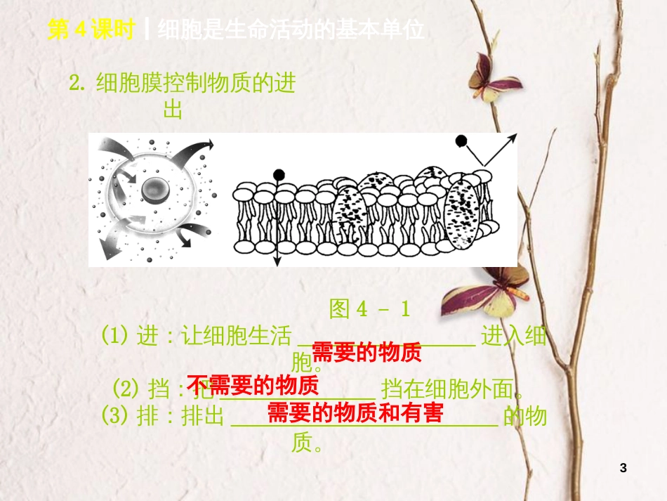中考生物 第二单元 生物体的结构层次 第4课时 细胞是生命活动的基本单位课件_第3页