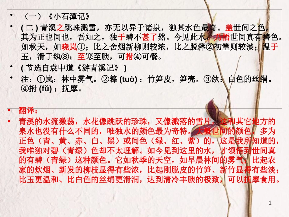 河南省濮阳市中考语文 专题复习 小石潭记比较阅读课件_第1页