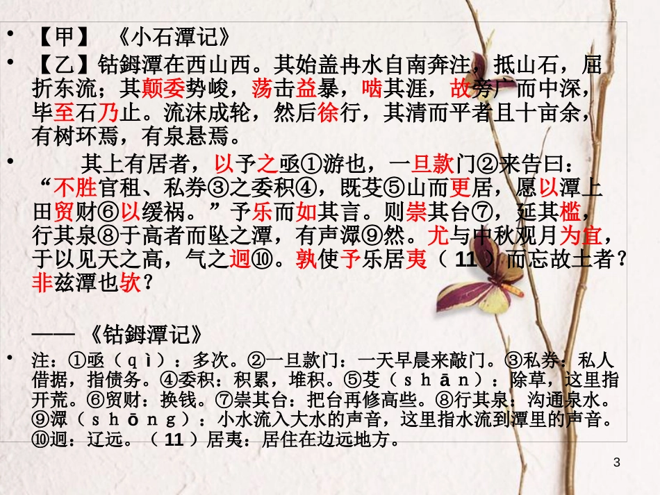 河南省濮阳市中考语文 专题复习 小石潭记比较阅读课件_第3页
