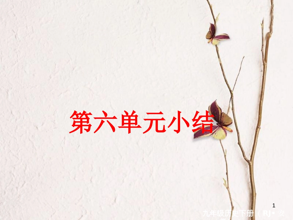 （安徽专版）九年级历史下册 第六单元 亚非拉国家的独立和振兴小结同步测试课件 新人教版_第1页