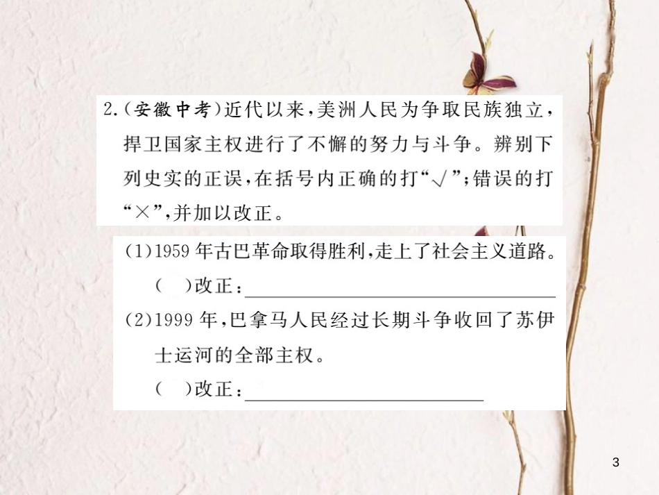（安徽专版）九年级历史下册 第六单元 亚非拉国家的独立和振兴小结同步测试课件 新人教版_第3页