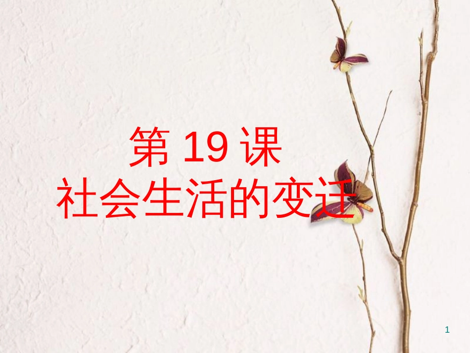 八年级历史下册 第19课 社会生活的变迁课件 新人教版 (2)_第1页
