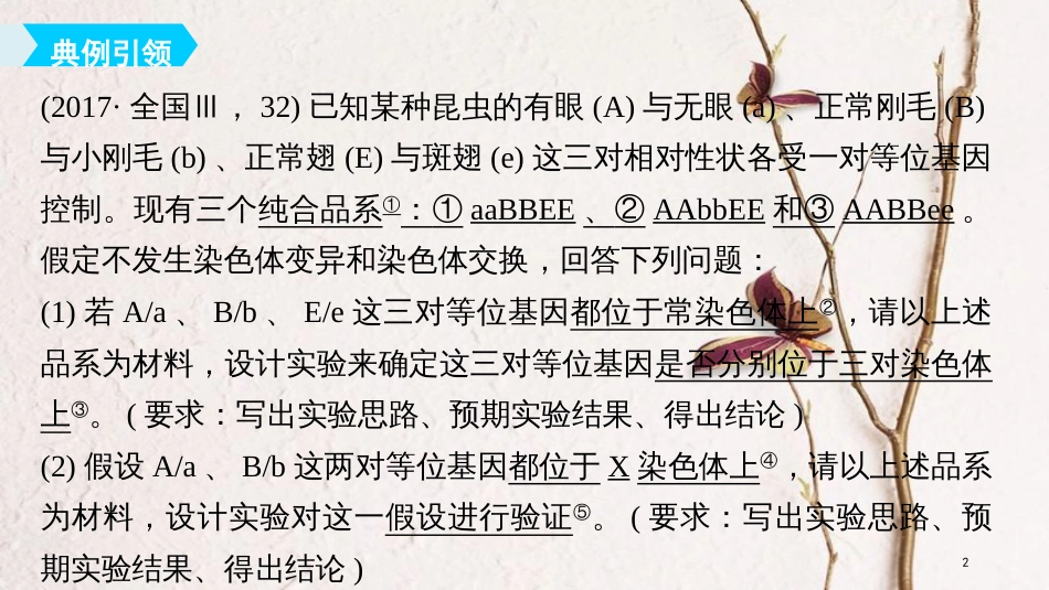 2019版生物高考大一轮复习 第六单元 遗传信息的传递规律 实验技能三 实验的假设和结论课件 北师大版_第2页