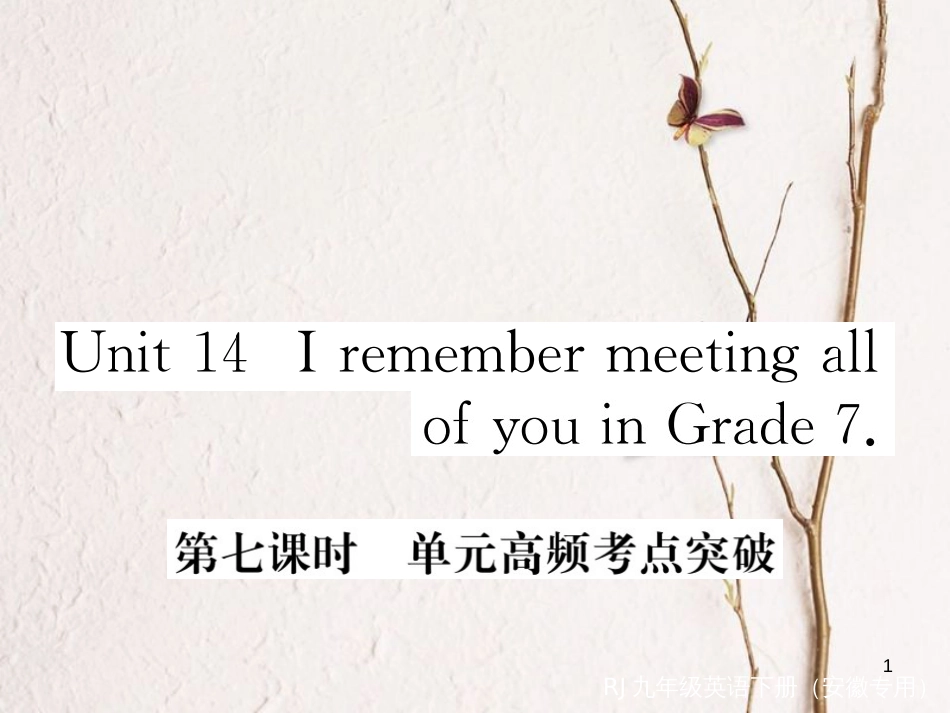 （安徽专版）九年级英语全册 Unit 14 I remember meeting all of you in Grade 7（第7课时）高频考点突破习题课件 （新版）人教新目标版_第1页
