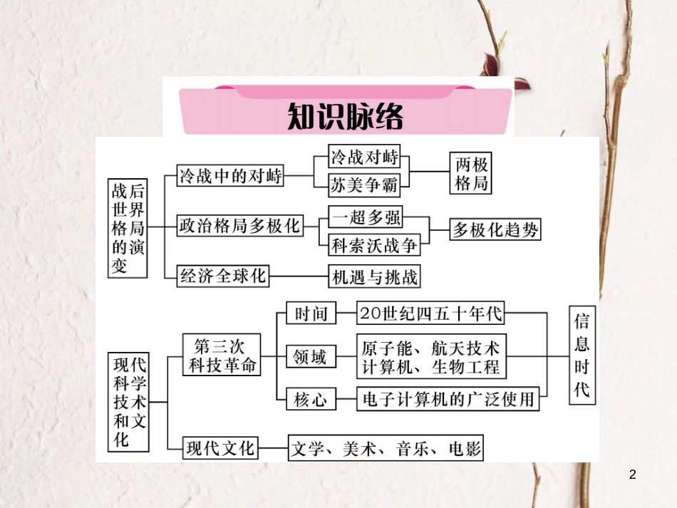 （青海专版）中考历史总复习 第一编 教材知识梳理 第30讲 战后世界格局的演变 科学技术和文化课件_第2页