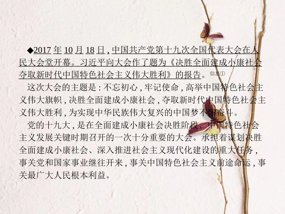 中考政治 专题一 继往开来十九大 扬帆起航新征程复习课件_第3页