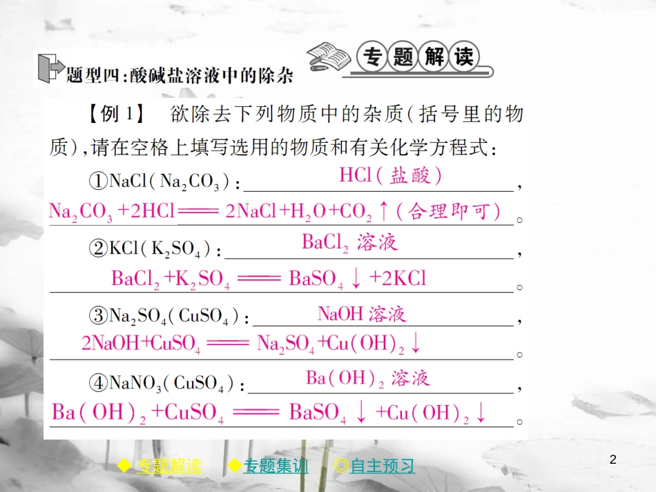 年春九年级化学下册 第十一章 盐 化肥 专题特训 复分解反应的应用（二）课件 （新版）新人教版_第2页