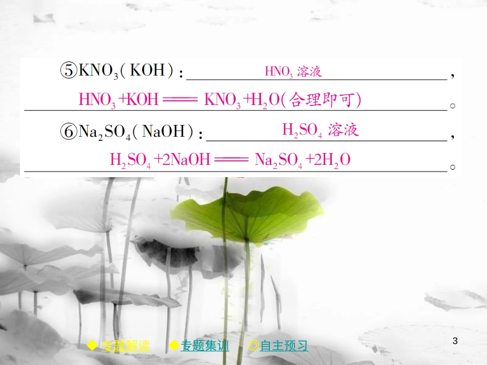 年春九年级化学下册 第十一章 盐 化肥 专题特训 复分解反应的应用（二）课件 （新版）新人教版_第3页