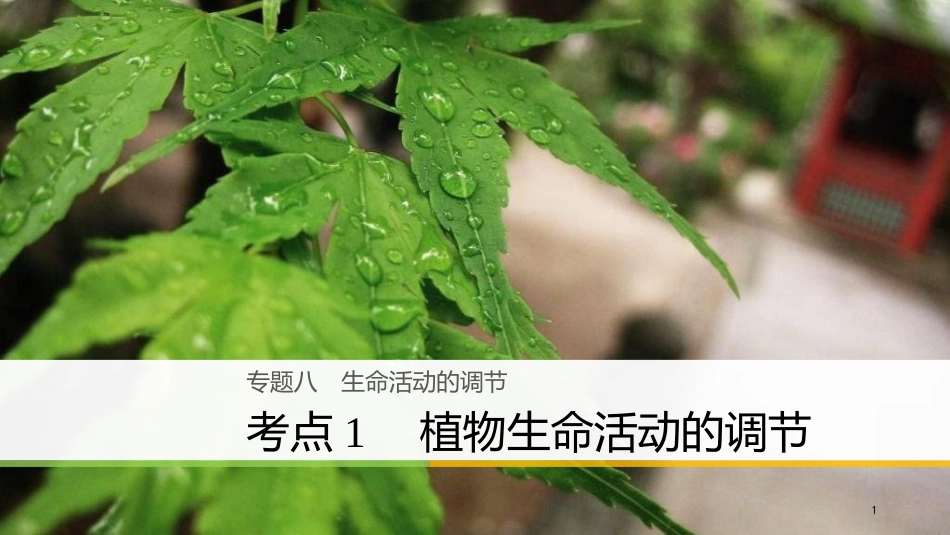 （浙江选考）高生物二轮专题复习 专题八 生命活动的调节 考点1 植物生命活动的调节课件 新人教版_第1页