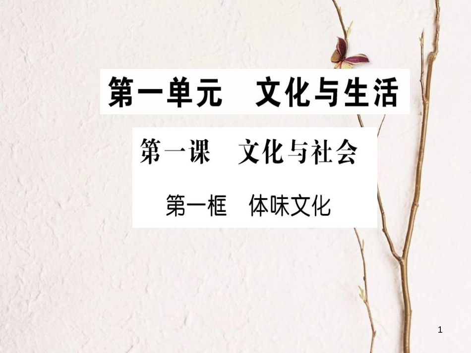 高中政治 第一单元 文化与生活 第一课 文化与社会 第一框 体味文化课件 新人教版必修3_第1页