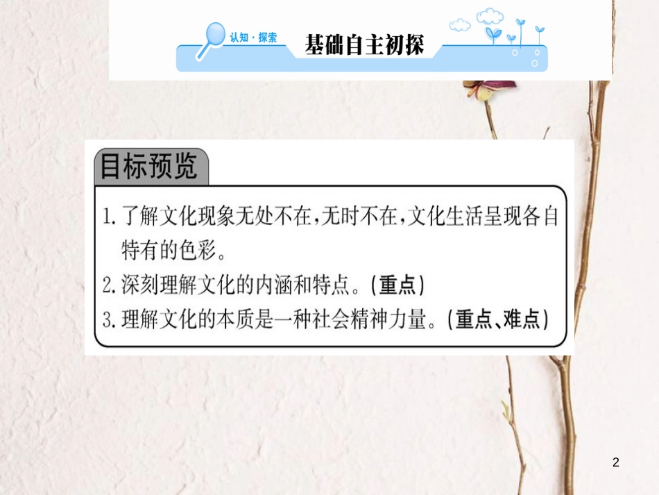 高中政治 第一单元 文化与生活 第一课 文化与社会 第一框 体味文化课件 新人教版必修3_第2页