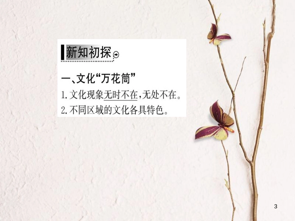 高中政治 第一单元 文化与生活 第一课 文化与社会 第一框 体味文化课件 新人教版必修3_第3页