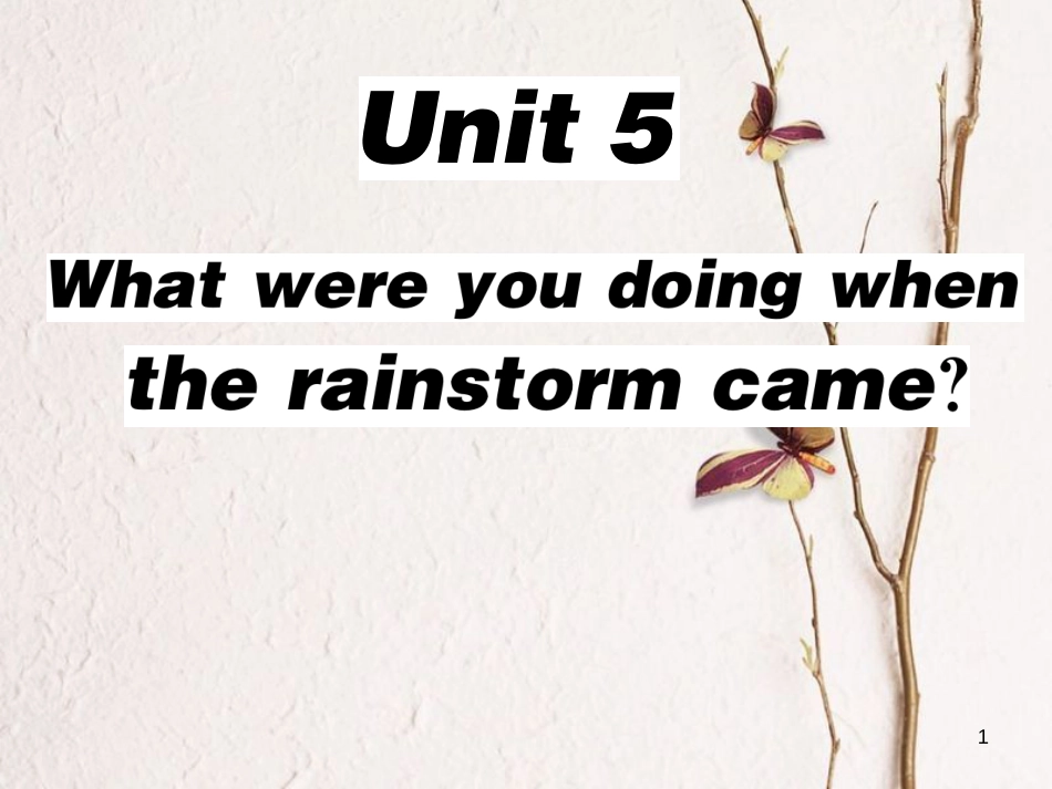 八年级英语下册 Unit 5 What were you doing when the rainstorm came（第2课时）习题课件 （新版）人教新目标版_第1页