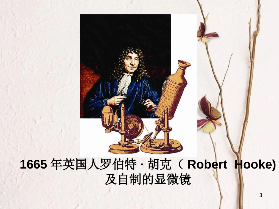 七年级生物上册 2.3.1植物细胞的结构和功能课件 （新版）苏教版_第3页