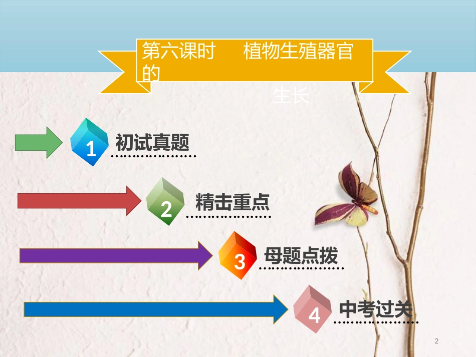 广东省中考生物 模块三 生物圈中的绿色植物 第六课时 植物生殖器官的生长课件_第2页