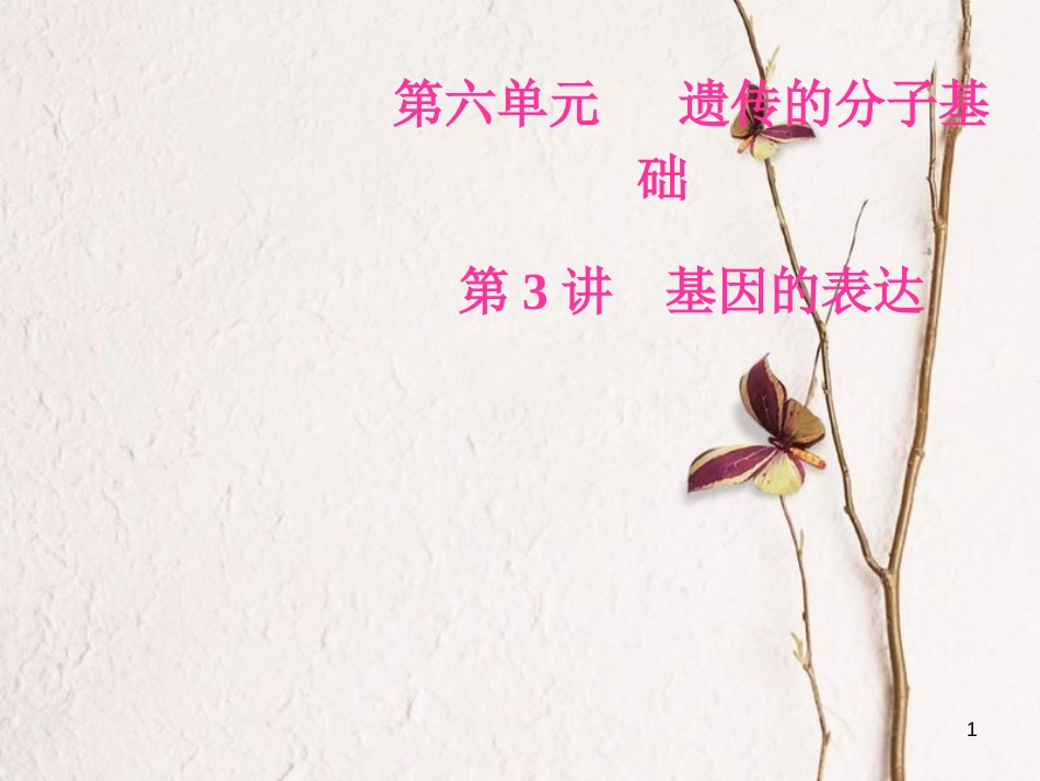 2019版高考生物总复习 第六单元 遗传的分子基础 第3讲 基因的表达课件_第1页