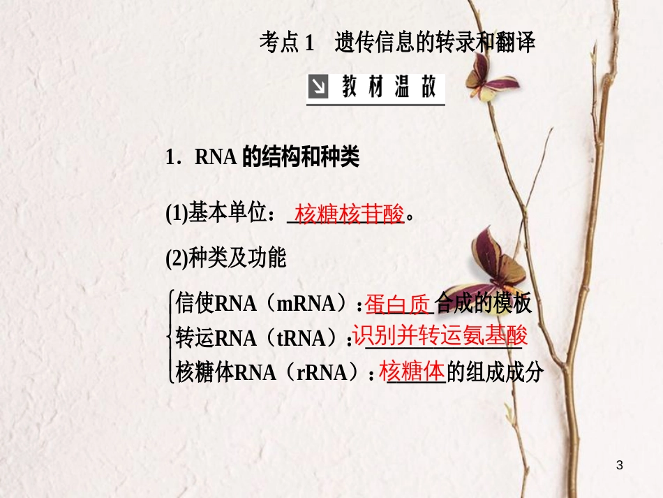 2019版高考生物总复习 第六单元 遗传的分子基础 第3讲 基因的表达课件_第3页