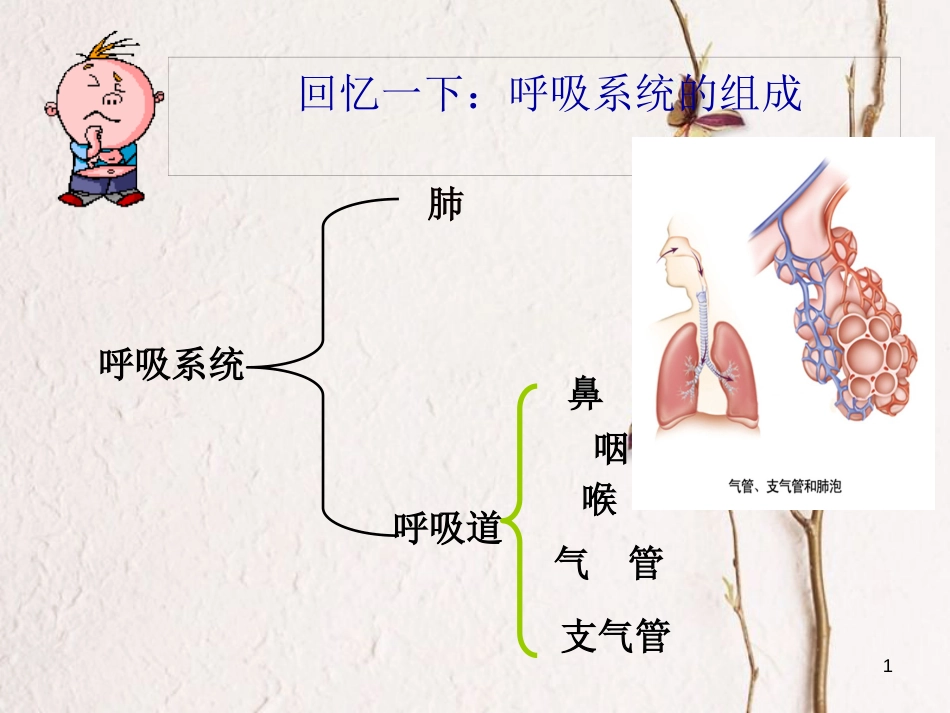 吉林省长春市七年级生物下册 4.3.2发生在肺内的气体交换课件 新人教版_第1页