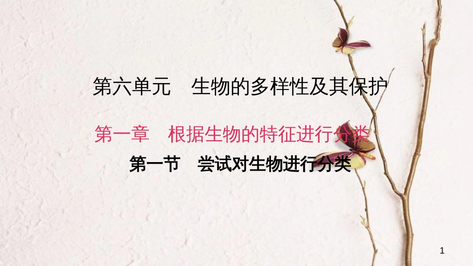 八年级生物上册 第六单元 第一章 第一节 尝试对生物进行分类课件 （新版）新人教版_第1页