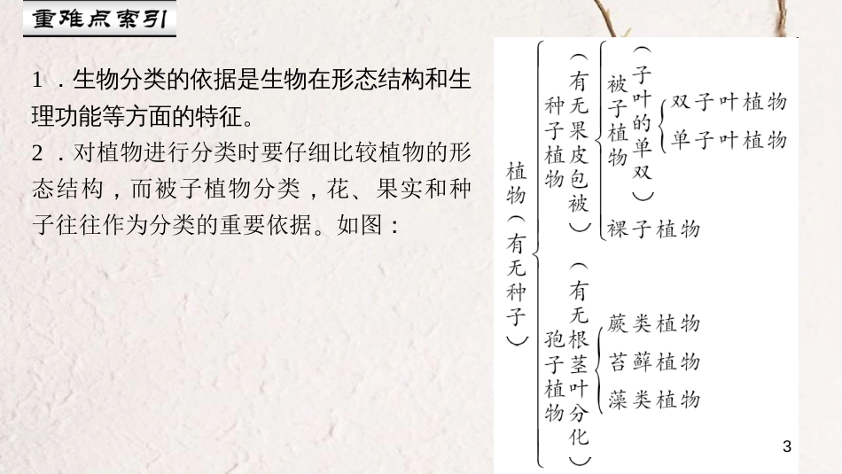 八年级生物上册 第六单元 第一章 第一节 尝试对生物进行分类课件 （新版）新人教版_第3页