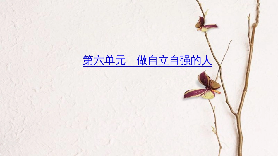 （山西地区）中考政治总复习 考点聚焦 七年级 第八单元 做学法尊法守法用法的人课件_第1页