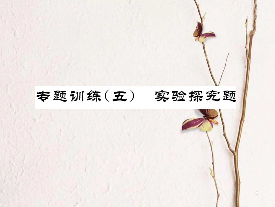 九年级化学下册 专题训练5 实验探究题作业课件 （新版）新人教版_第1页