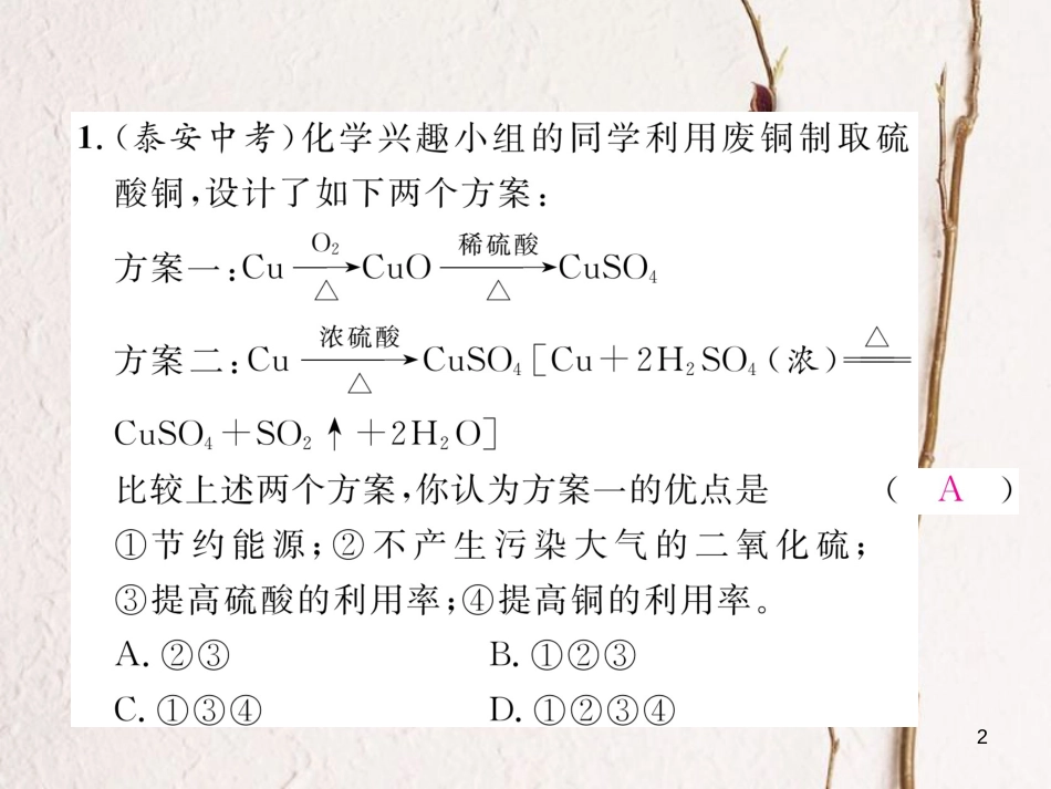 九年级化学下册 专题训练5 实验探究题作业课件 （新版）新人教版_第2页