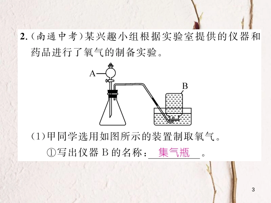 九年级化学下册 专题训练5 实验探究题作业课件 （新版）新人教版_第3页