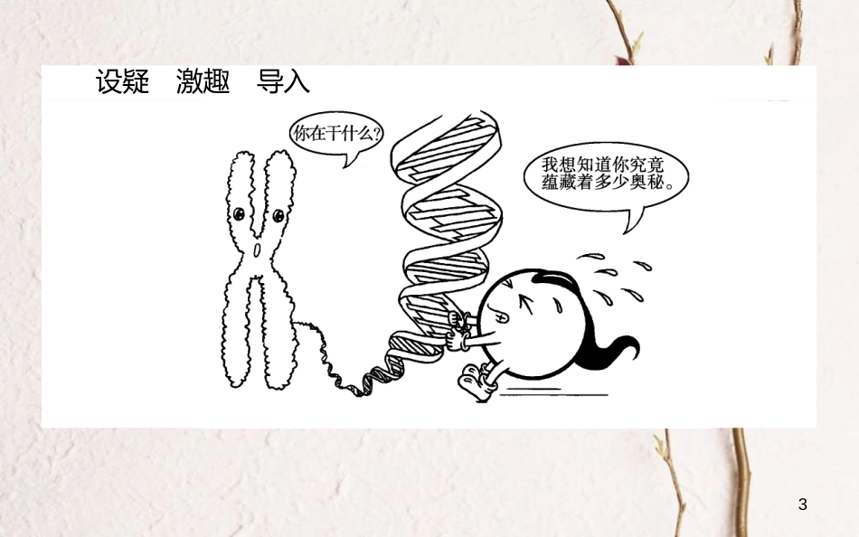 高中生物 第二章 基因和染色体的关系 2.2 基因在染色体上课件 新人教版必修2_第3页