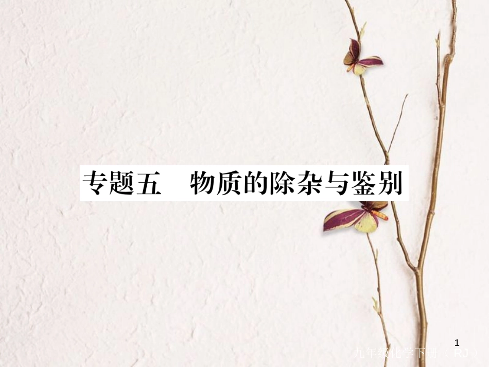（通用）九年级化学下册 第11单元 盐 化肥 专题五 物质的除杂与鉴别课件 （新版）新人教版_第1页