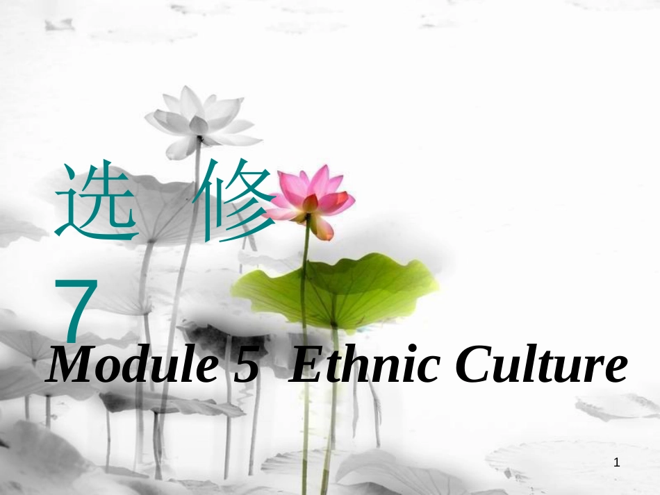 高考英语一轮复习 Module 5 Ethnic Culture课件 外研版选修7_第1页