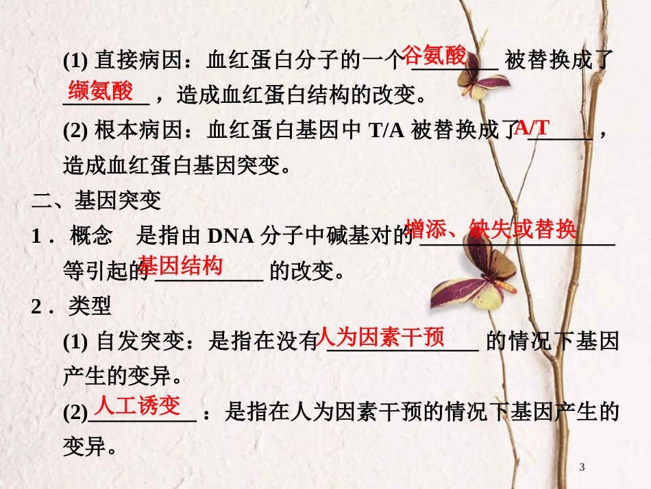 高中生物 第四章 遗传的分子基础 第16课时 基因突变课件 苏教版必修2_第3页