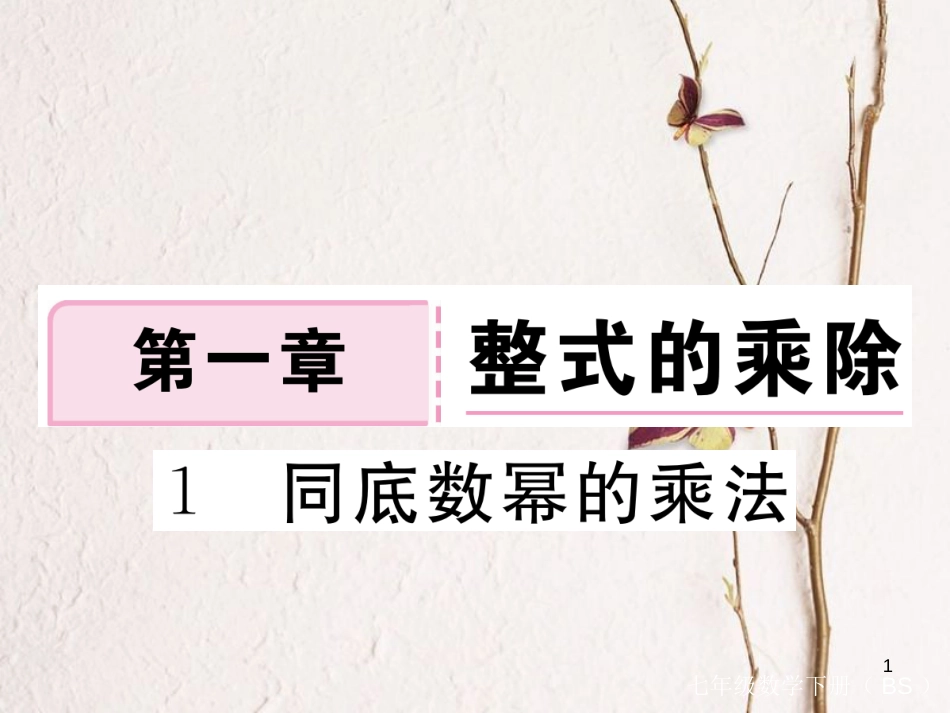 七年级数学下册 第一章 整式的乘除 1.1 同底数幂的乘法练习课件 （新版）北师大版_第1页