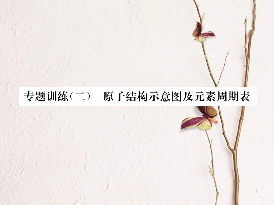 九年级化学上册 专题训练（二）原子结构示意图及元素周期表习题课件 （新版）新人教版_第1页
