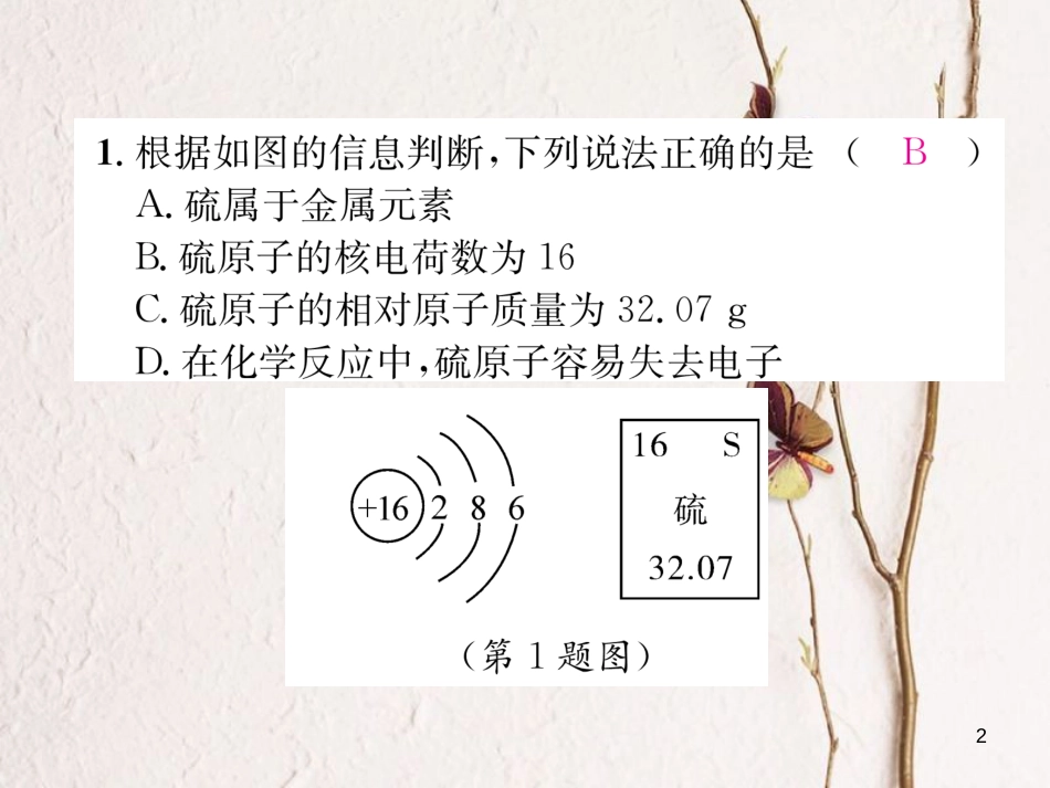 九年级化学上册 专题训练（二）原子结构示意图及元素周期表习题课件 （新版）新人教版_第2页