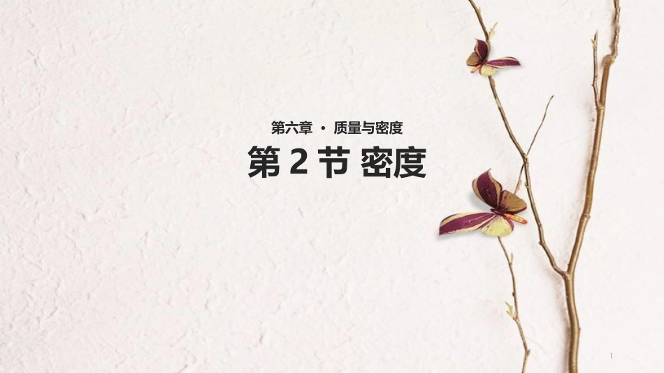八年级物理上册 6.2《密度》教学课件 （新版）新人教版_第1页
