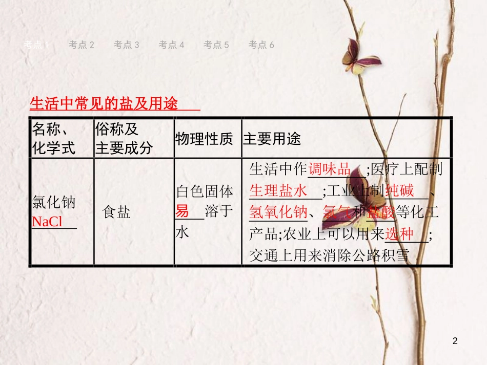 （甘肃专版）中考化学总复习 第11单元 盐 化肥课件_第2页