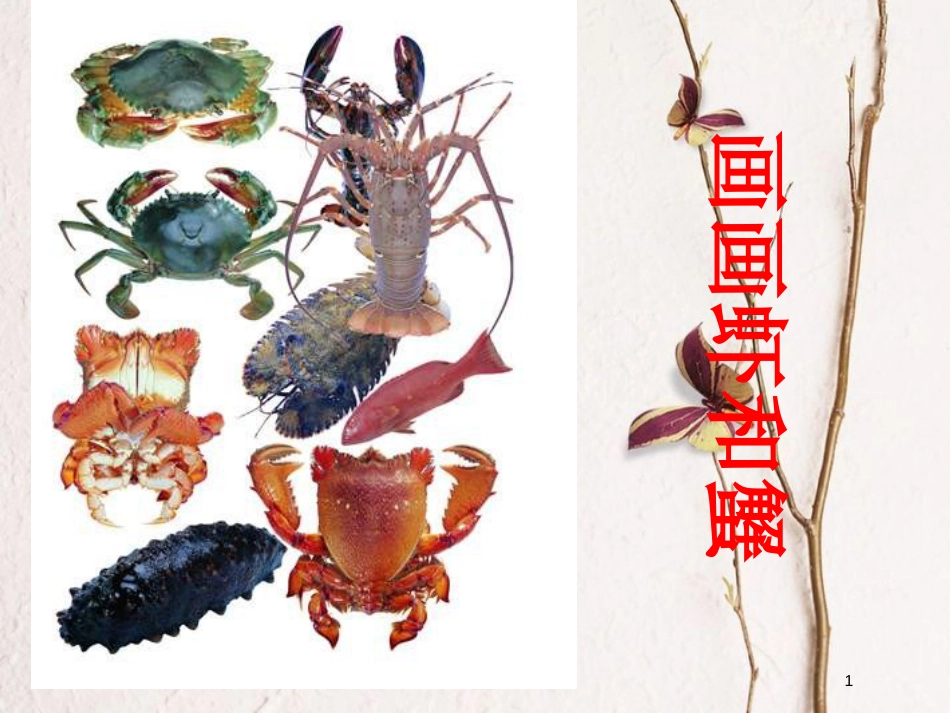 二年级美术上册 画画虾和蟹课件2 苏少版_第1页