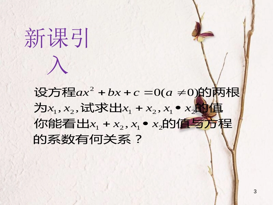 九年级数学上册 第2章 一元二次方程 2.4 一元二次方程根与系数的关系课件 （新版）湘教版_第3页